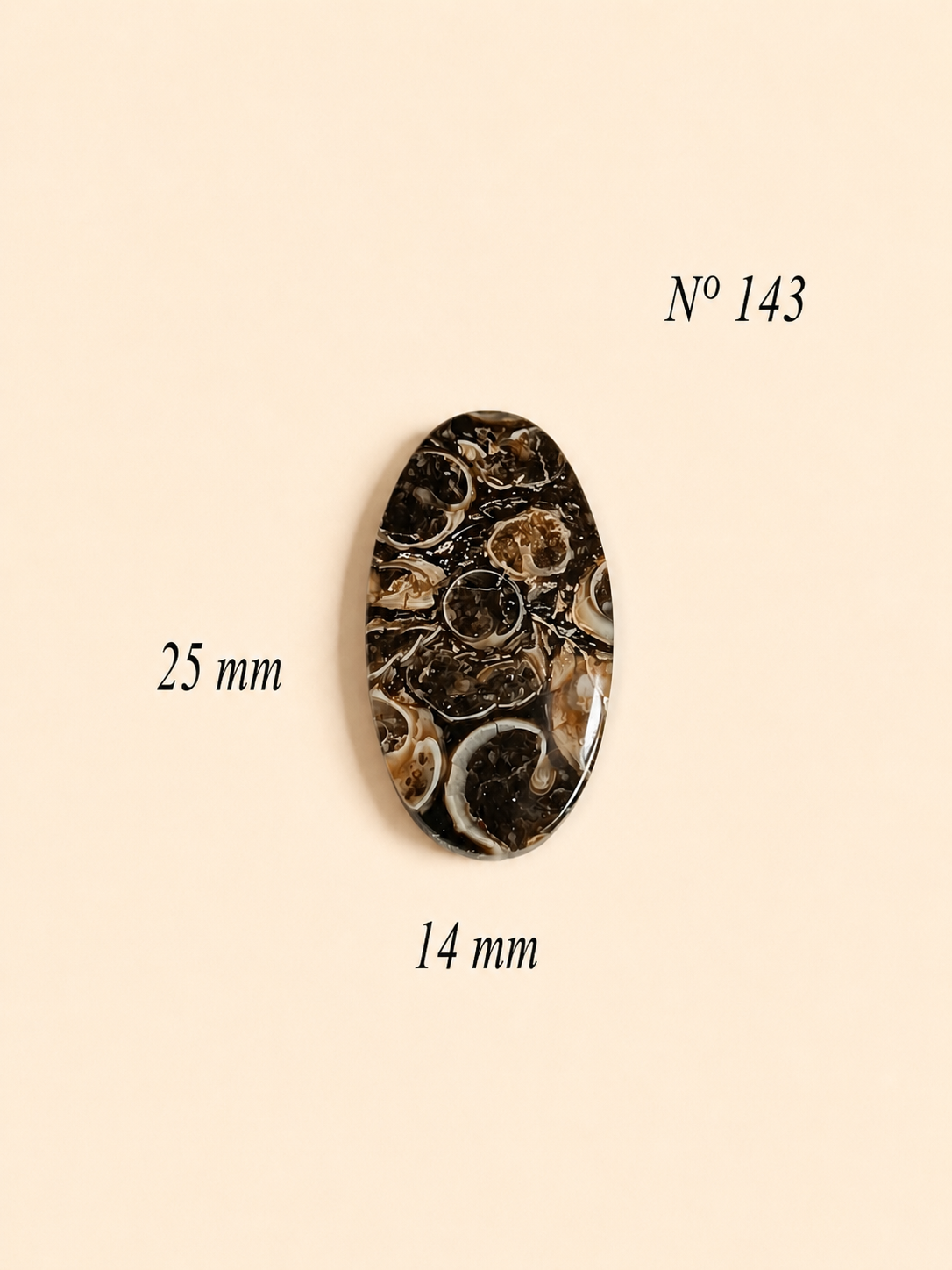 AGATHE TORTUE