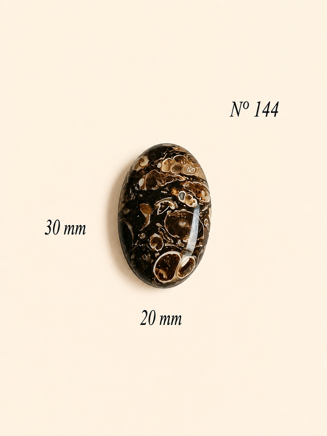 AGATHE TORTUE