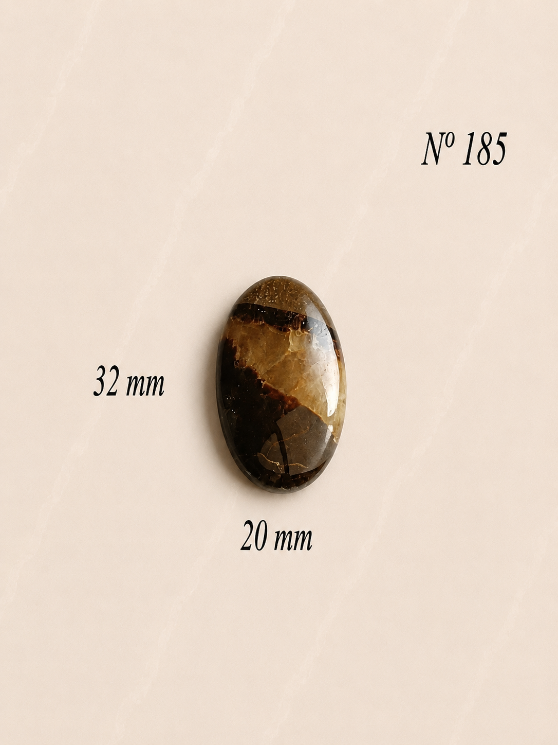 SEPTARIA