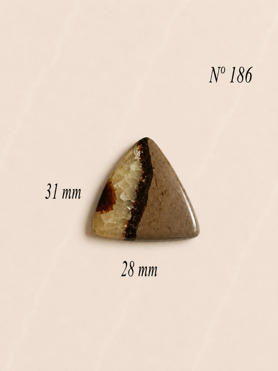 SEPTARIA