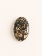 AGATHE TORTUE